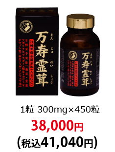 1粒300mg×450粒 38,000円(税込41,040円)