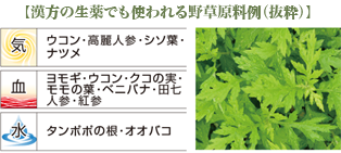 【漢方の生薬でも使われる野草原料例（抜粋）】