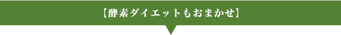 【酵素ダイエットもおまかせ】