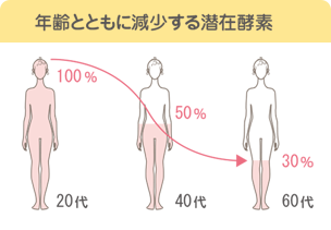 年齢と共に減少する潜在酵素