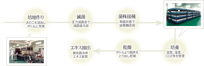 培地作り：きのこを混合しボトルに充填
↓
滅菌：圧力滅菌釜で滅菌後冷却
↓
菌株接種：無菌状態で接種機使用
↓
培養：温度、湿度、CO2等を管理
↓
乾燥：ボトルより菌床をとり出し乾燥
↓
エキス抽出：複合菌糸体エキス採取