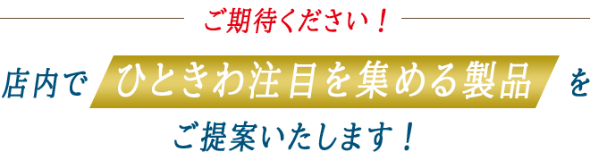 ご期待ください！店内でひときわ注目を集める製品をご提案いたします！